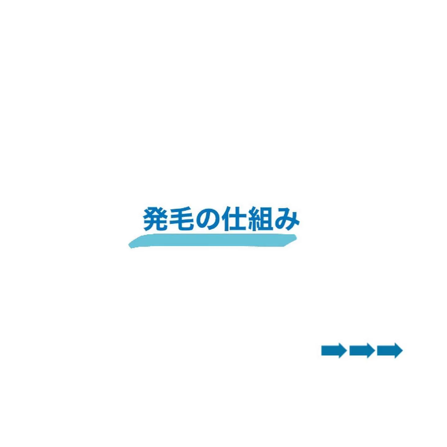 発毛の仕組み𓂃˚‧