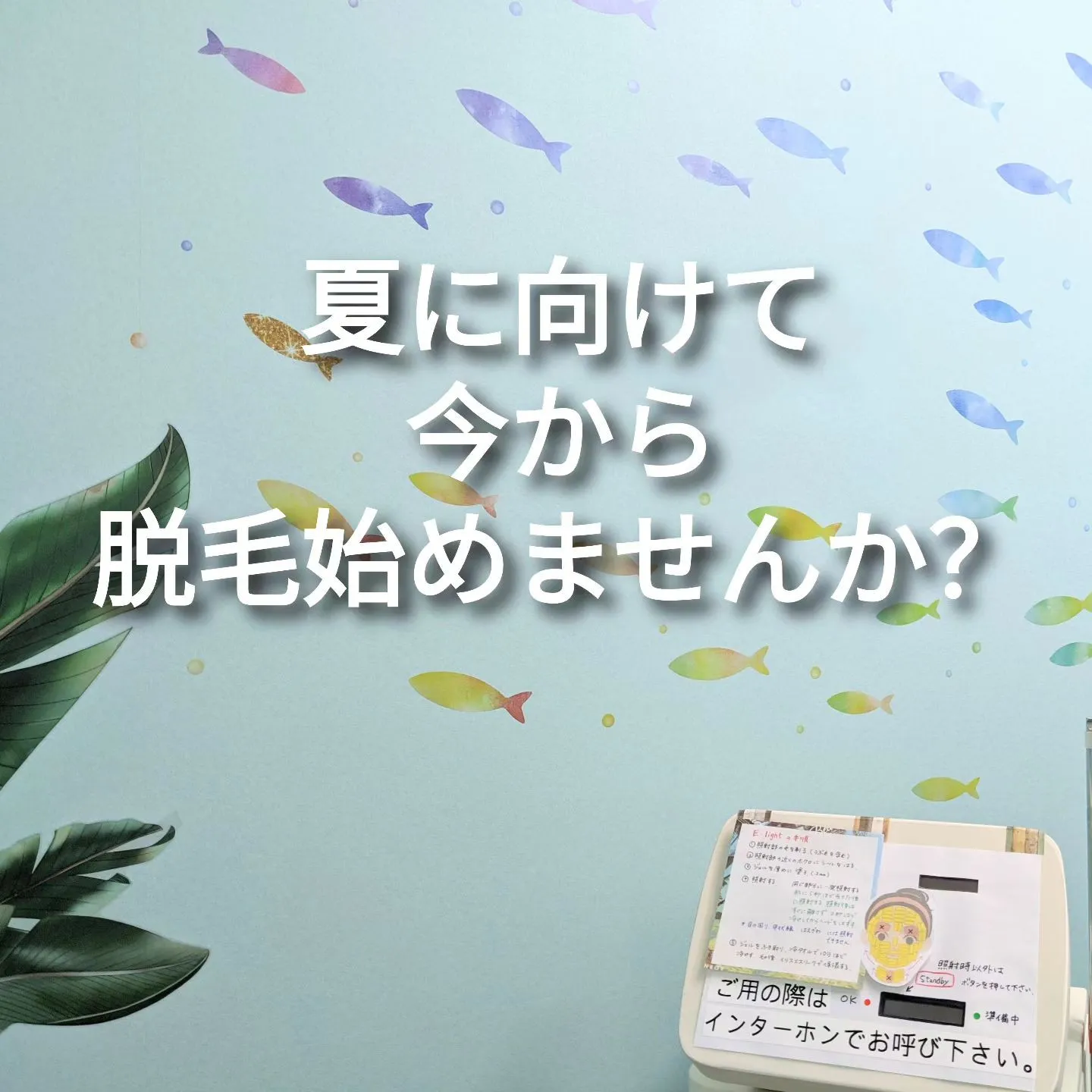 甲賀市、伊賀市から通える脱毛サロンをお探しなら、エステサロン...